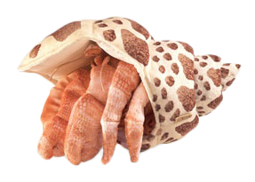 Folkmanis Hermit Crab Hand Puppet - Click Image to Close